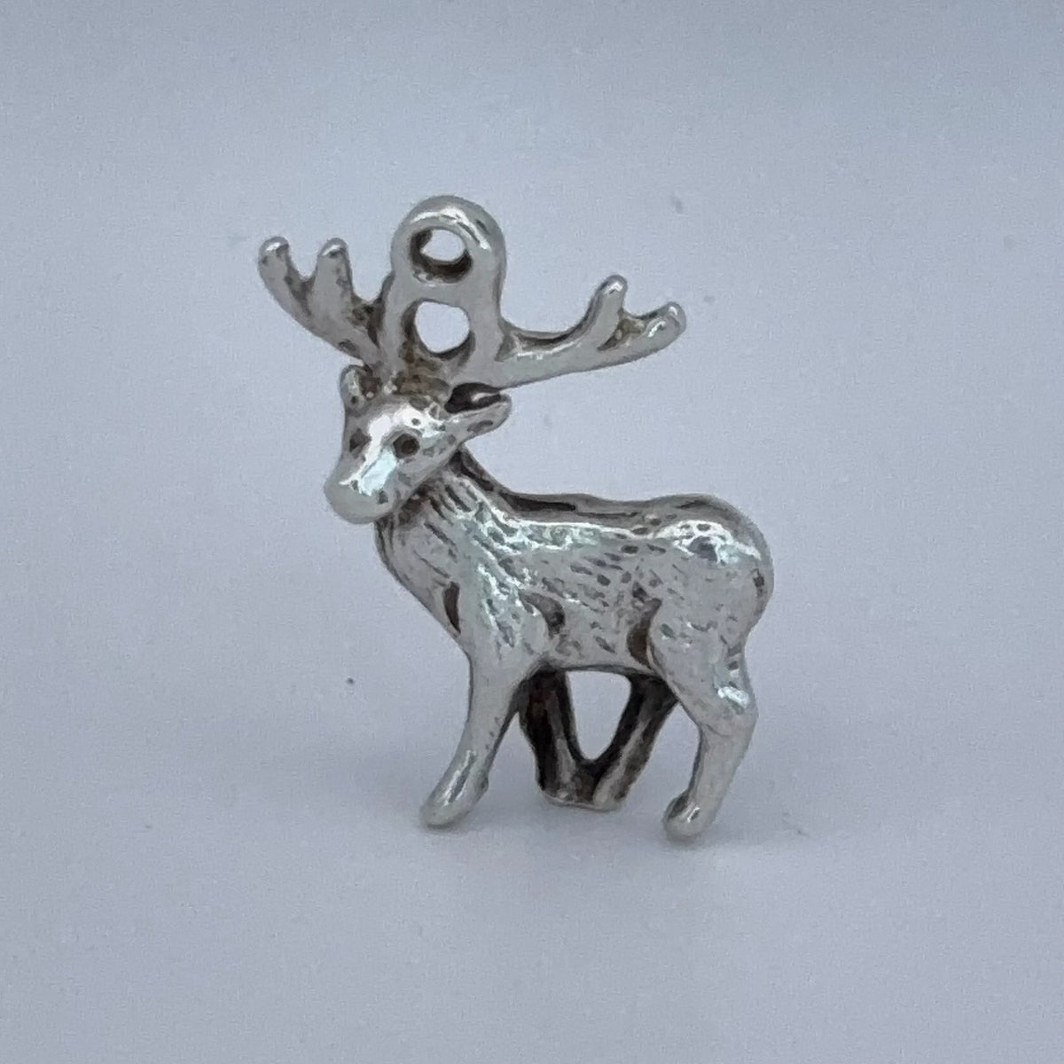 Stunning Stag