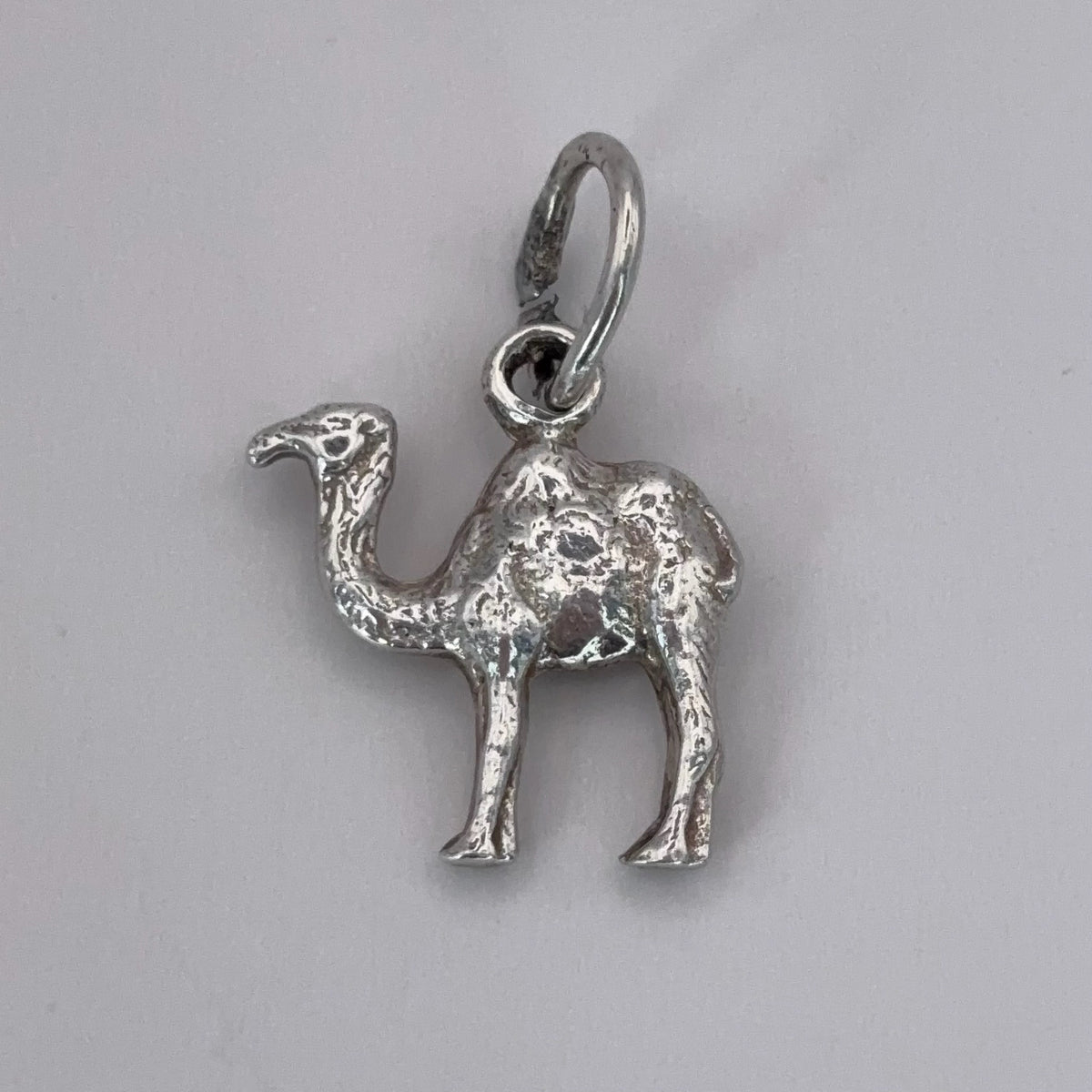Cute Camel
