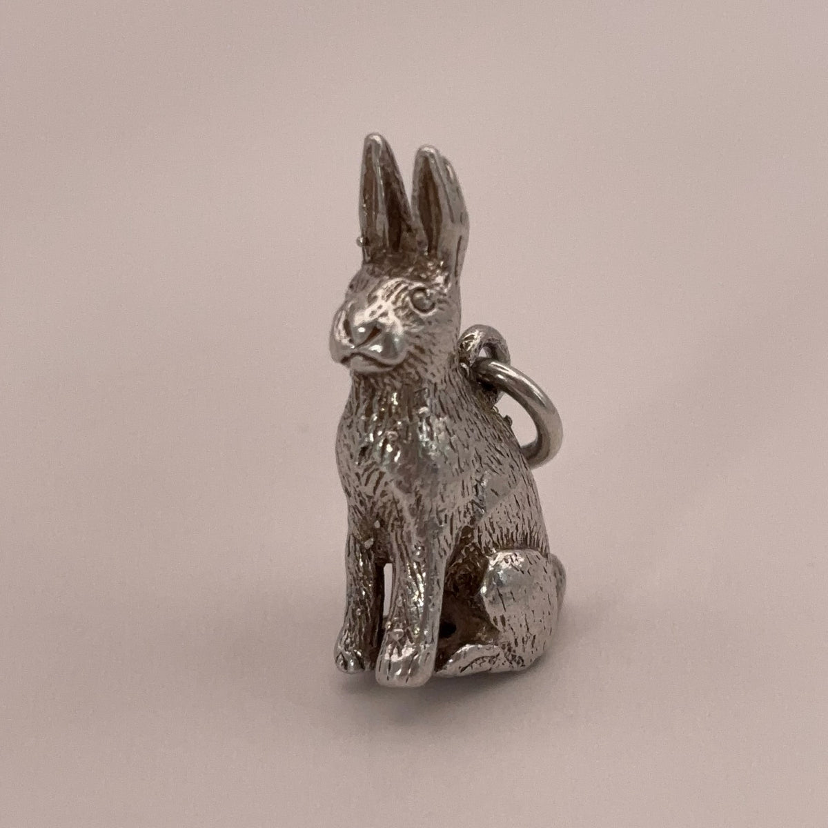 Bunny Rabbit