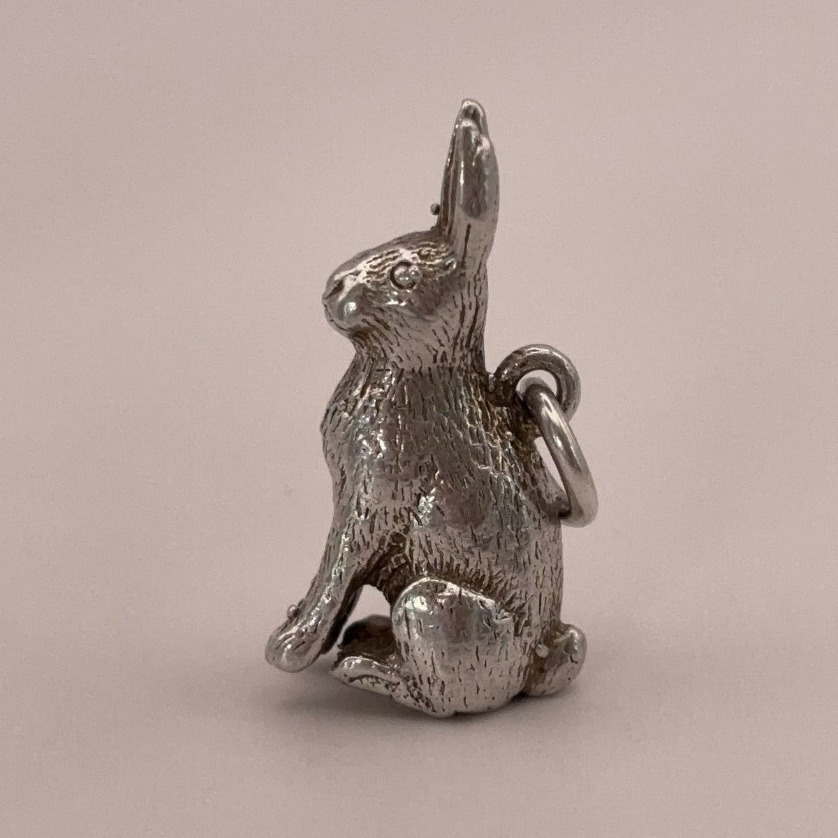 Bunny Rabbit