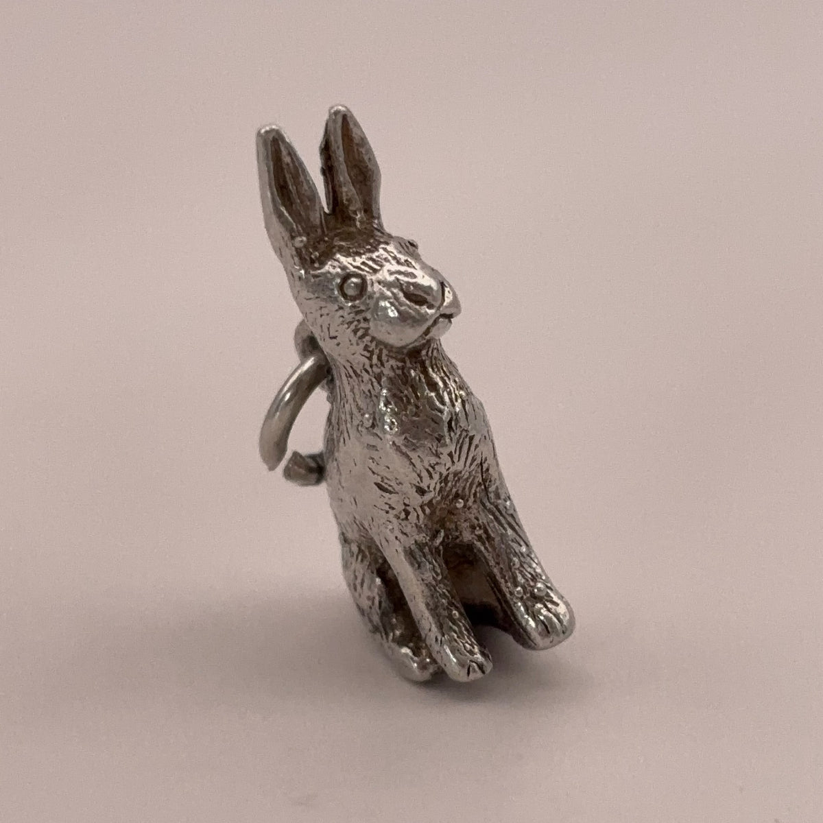 Bunny Rabbit