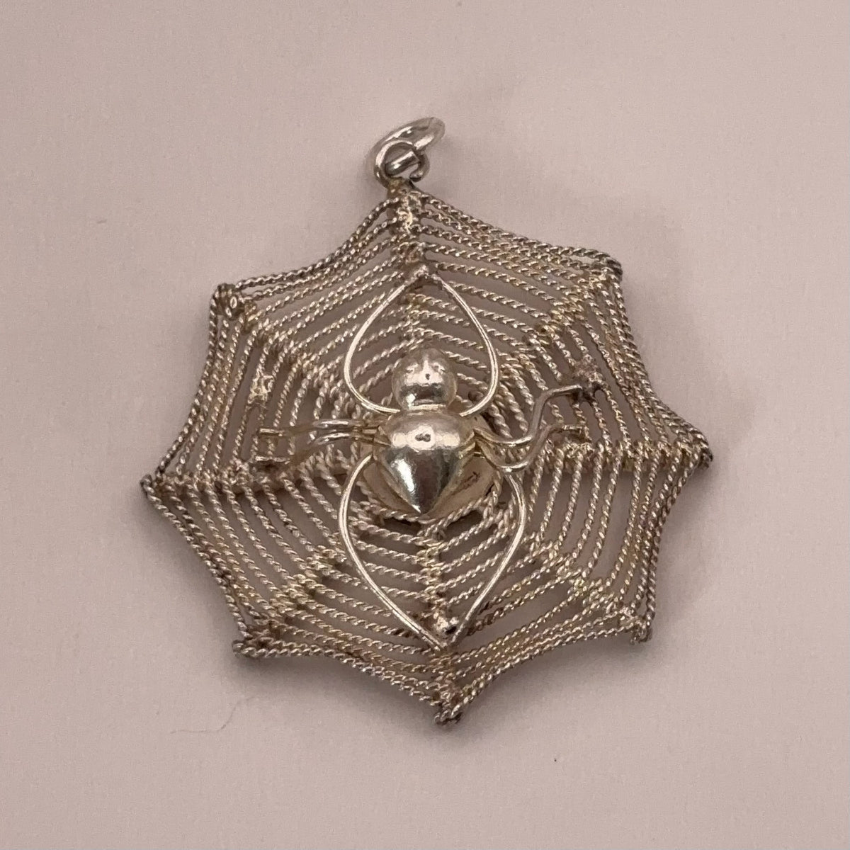 Spider in Web