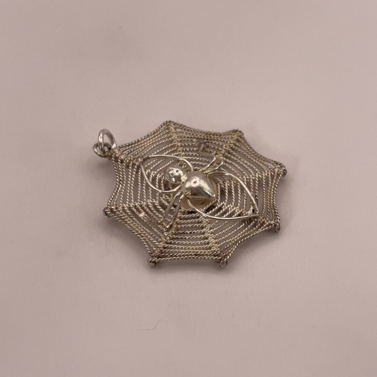 Spider in Web