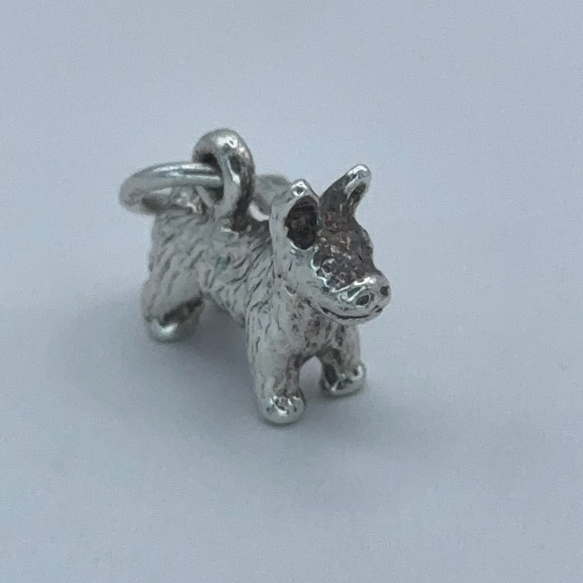 Cute Dog