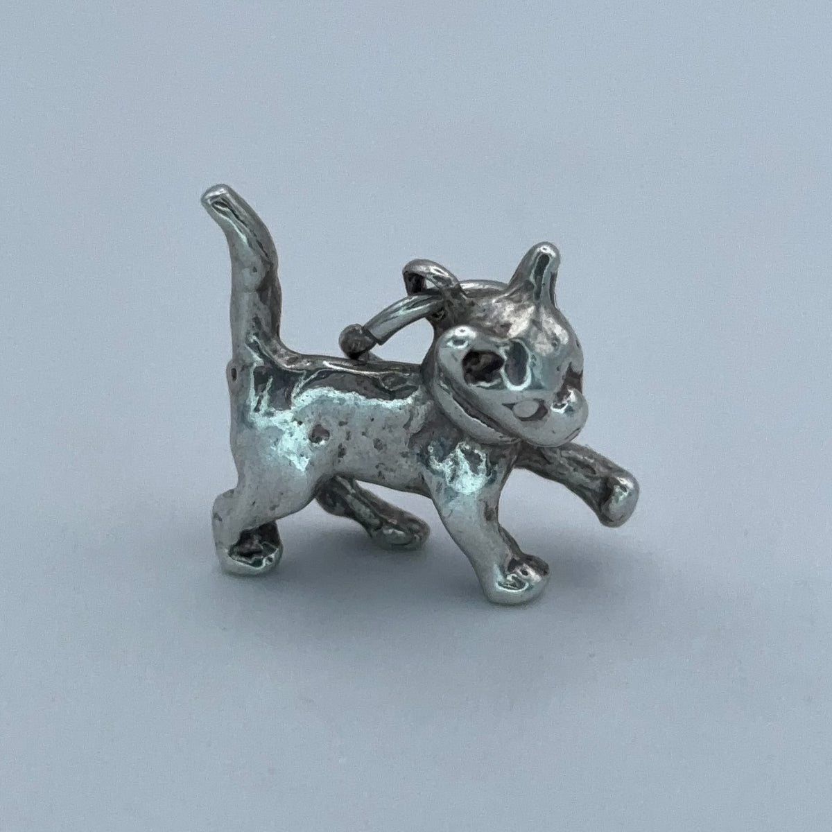 Playful Pussycat