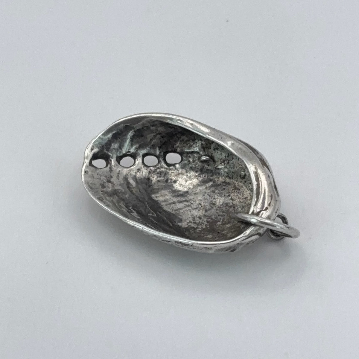 Paua Shell