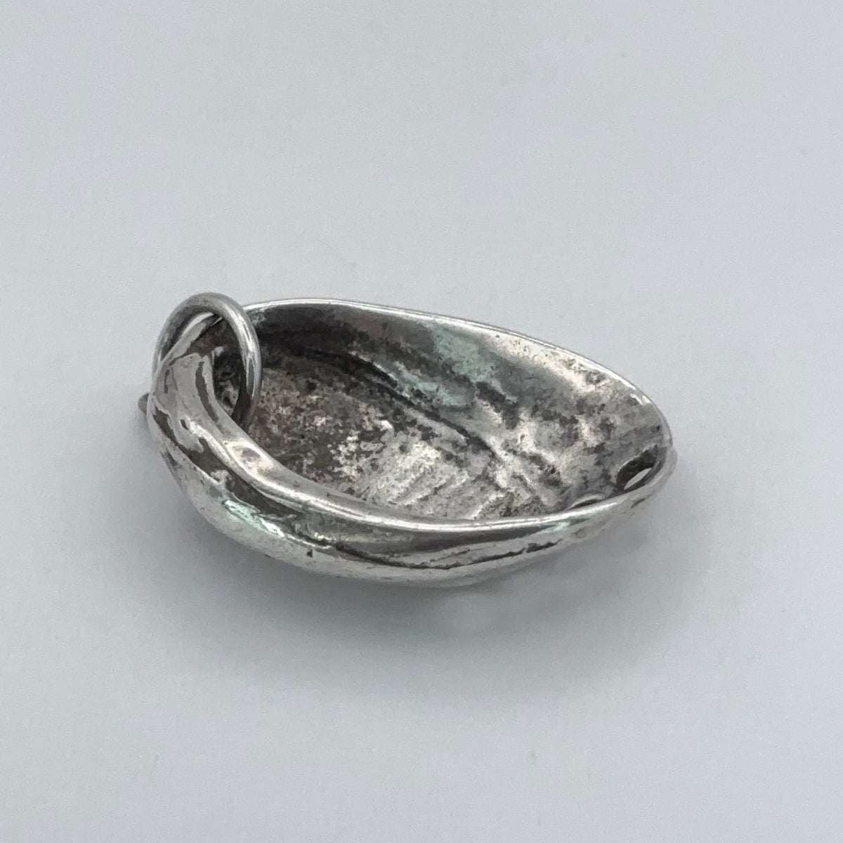 Paua Shell