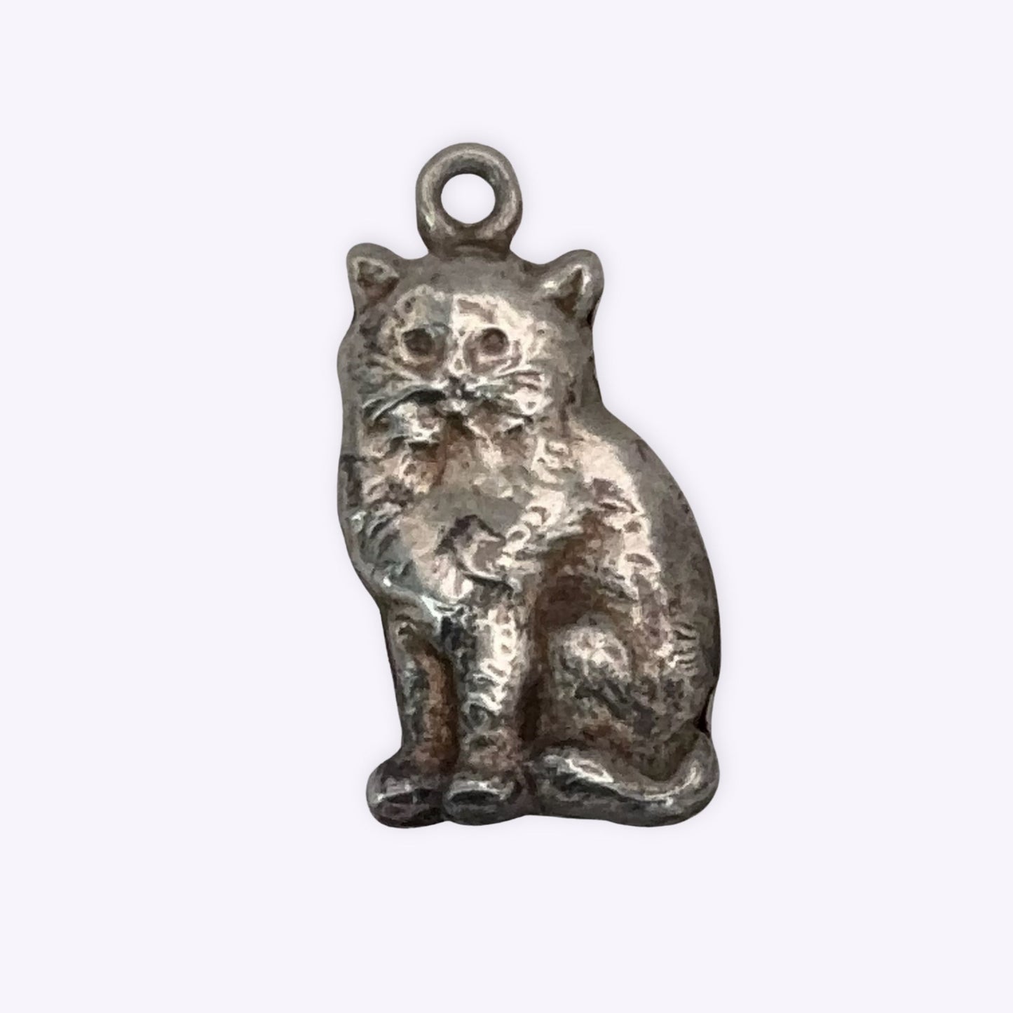 Puffy Cat